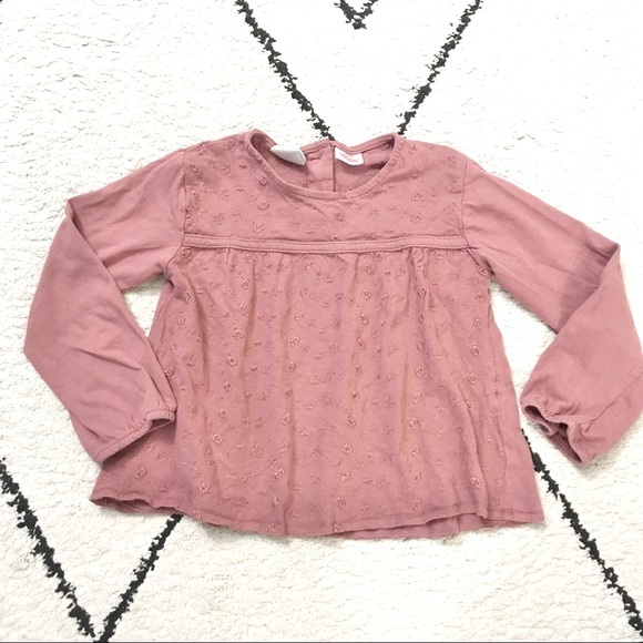 Zara Other - ZARA Girls’ Toddler Pink LS Top | 2/3T